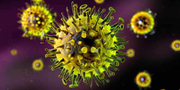 Dünyada yeni virus qorxusu: Ölüm halları qeydə alındı