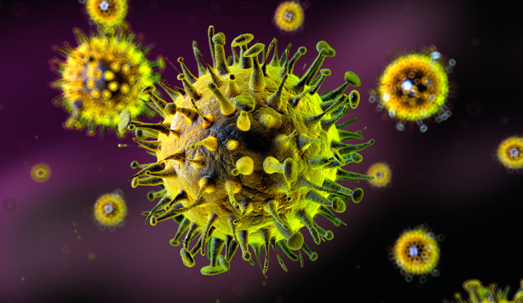 Dünyada yeni virus qorxusu: Ölüm halları qeydə alındı