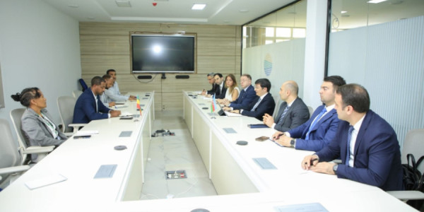 Azərbaycan nümayəndə heyətinin Efiopiyada bir sıra görüşləri olub