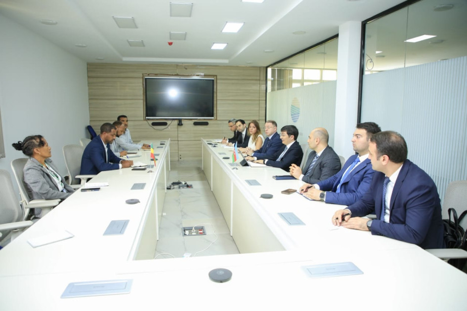 Azərbaycan nümayəndə heyətinin Efiopiyada bir sıra görüşləri olub