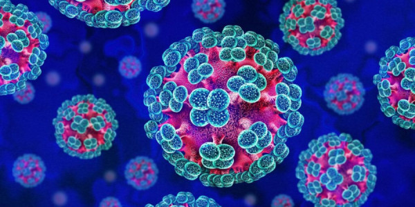 Bu dəfə hantavirus kabusu: Azərbaycana da gələ bilər