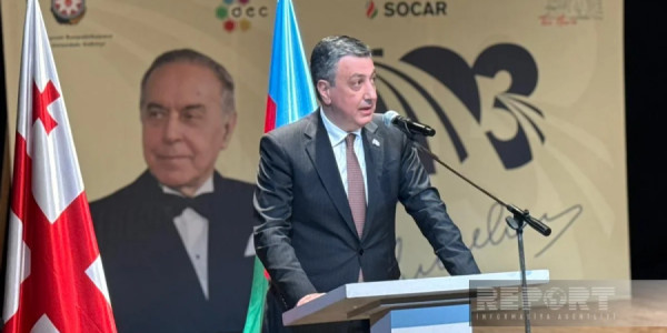 Faiq Quliyev: Gürcüstandakı soydaşlarımızın problemləri daim diqqət mərkəzində olub