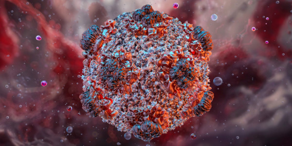 Hantavirus Ukraynada da yayılır