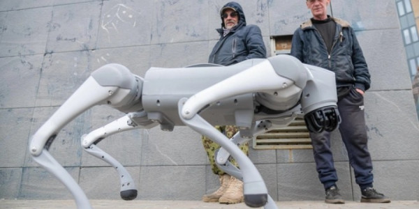 Bütün ölkələrdə mühüm proses gedir: Robot it dəstələri hazırlanır