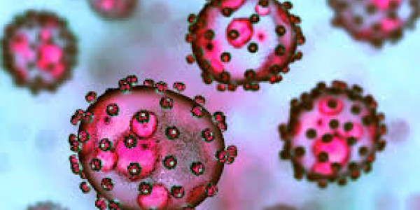 Nigeriyada təhlükəli virus -