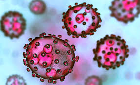 Nigeriyada təhlükəli virus -