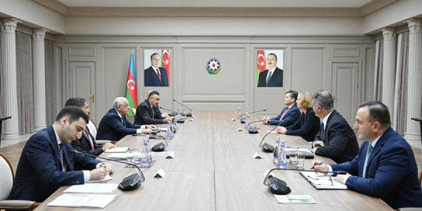 Əli Əsədov BP-nin nümayəndə heyəti ilə əməkdaşlığın gələcək perspektivlərini müzakirə edib