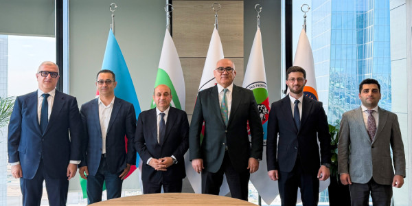 Azərbaycan Güləş Federasiyasında yeni komitə təsis edilib