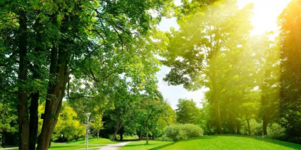 Sabahın hava proqnozunu açıqlanıb