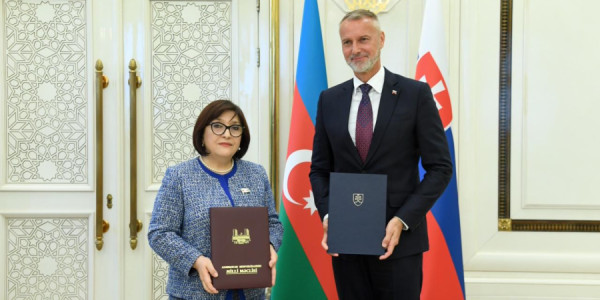 Sahibə Qafarova Slovakiya Milli Şurasının sədri ilə görüşüb