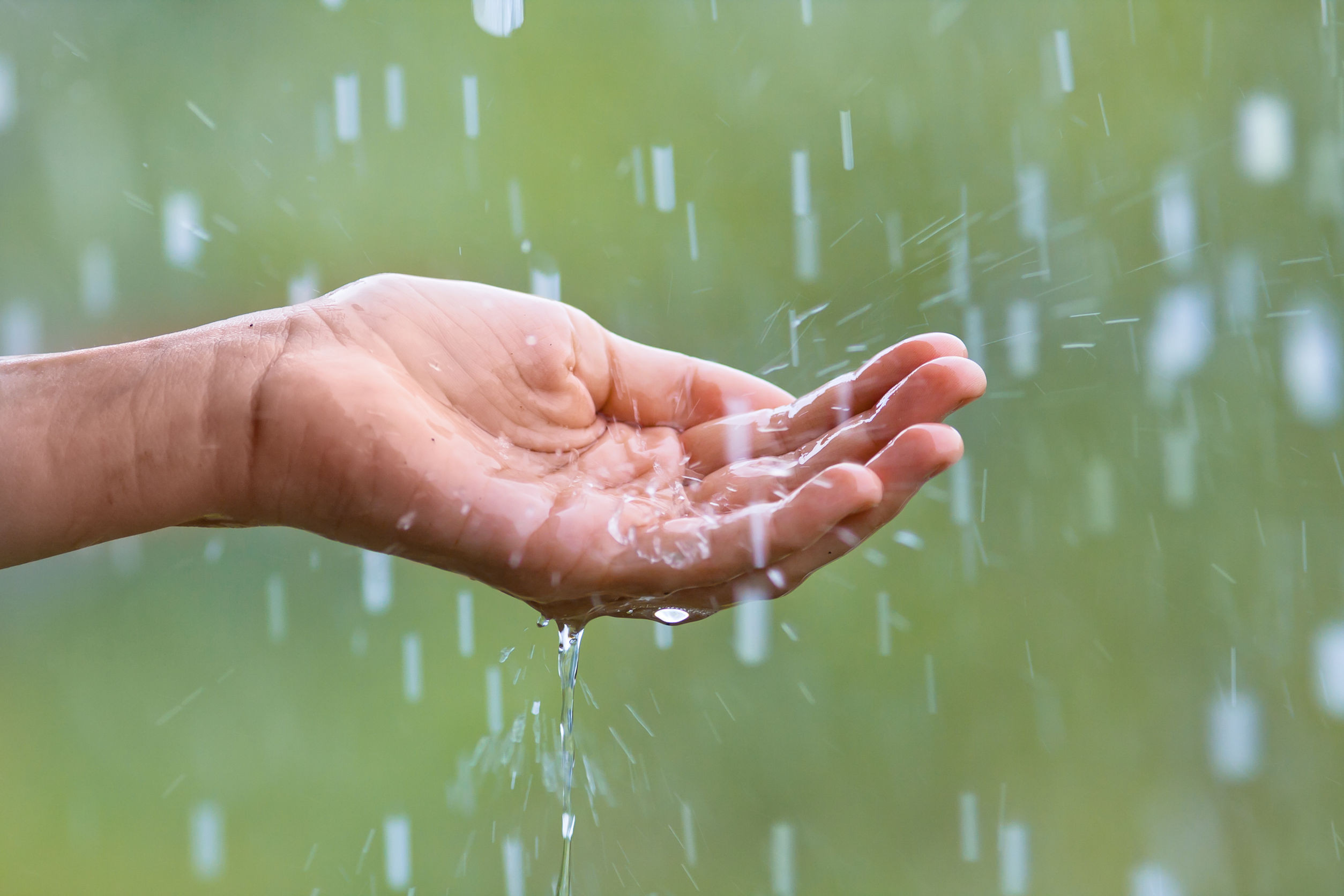 Yağıntılı hava şəraiti bu tarixədək davam edəcək