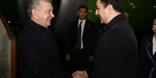 Özbəkistan Prezidenti Şavkat Mirziyoyev Azərbaycana səfər edib