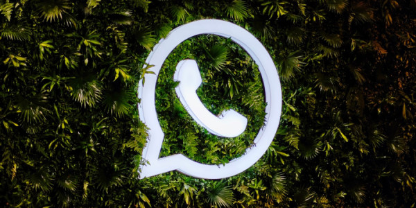 WhatsAppda yenilik: Mesajlar oxunduqdan sonra silinəcək