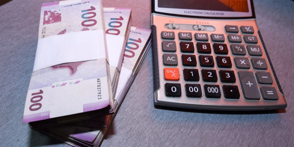 Azərbaycanda 29 minə yaxın uşağın anadan olmasına görə birdəfəlik müavinət verilib