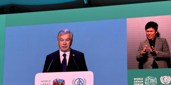 Dünyada 3 milyard insan mənzil problemi yaşayır -