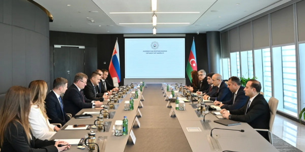 Azərbaycan və Slovasiya biznes əlaqələrinin gücləndirilməsini müzakirə edib