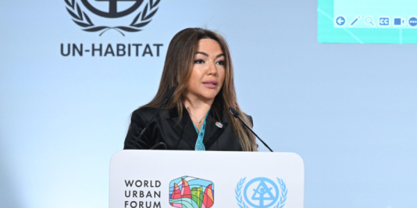 WUF13: “Əlilliyi olan insanlar üçün inklüziv şəhərlər və müstəqil həyat” mövzusunda beynəlxalq təlim təşkil olunub