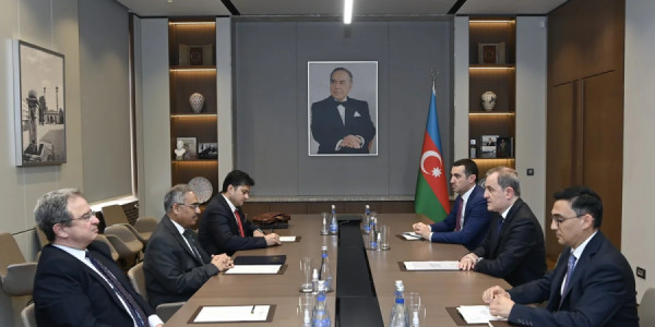 Azərbaycan və D-8 arasında əməkdaşlıq perspektivləri müzakirə olunub