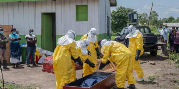 Koronavirus, Hantavirus və Ebola: Dünyanı daimi bioloji müharibəyə kim çəkir?