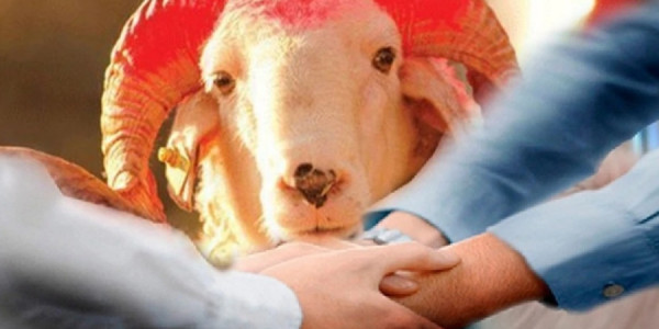 Qurban kəsdirmək istəyənlərin diqqətinə: Bu məqamlara diqqət edin