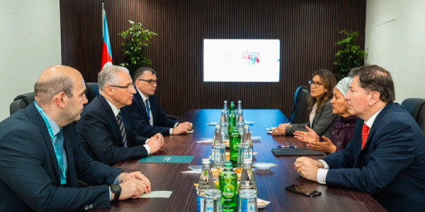 Amina Mohammed və Muxtar Babayev iqlim məsələlərini müzakirə ediblər