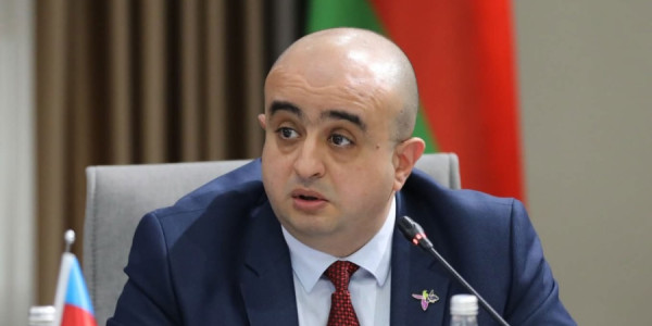 Fuad Çıraqov Gürcüstanda təhsil məsələləri üzrə müşavir olub