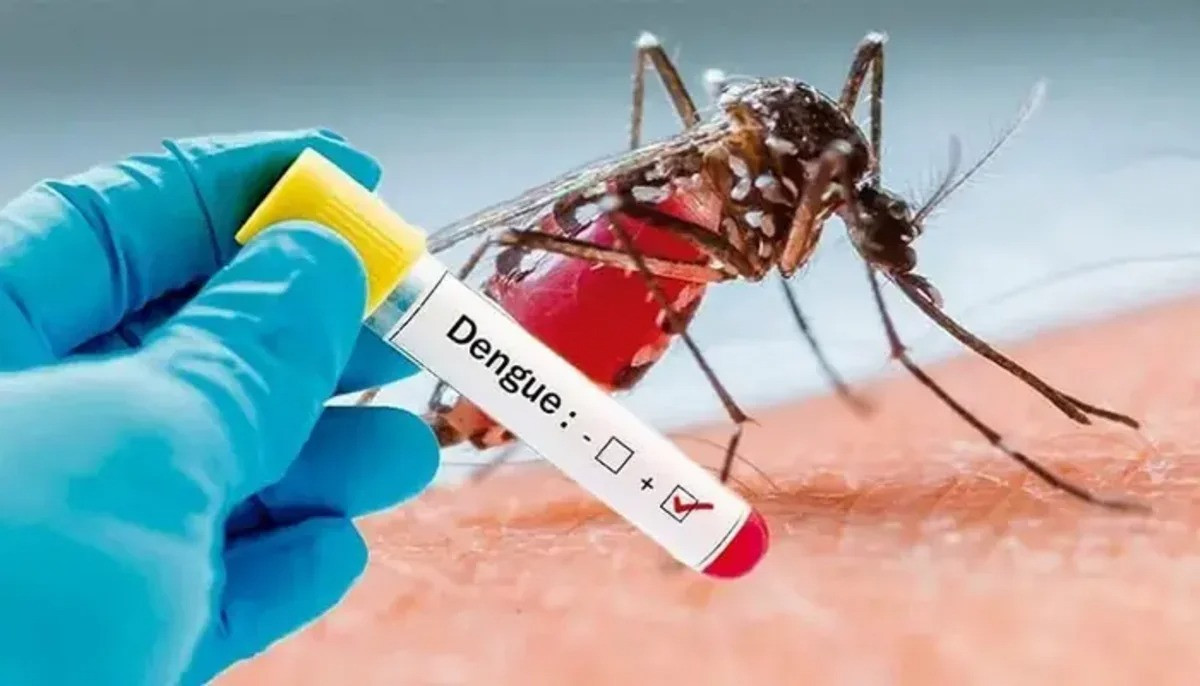 Denqe qızdırması Azərbaycana da gələ bilər-