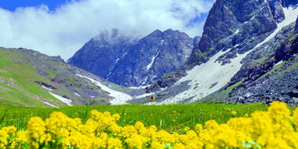 Lal təbiətin kar sakinləri