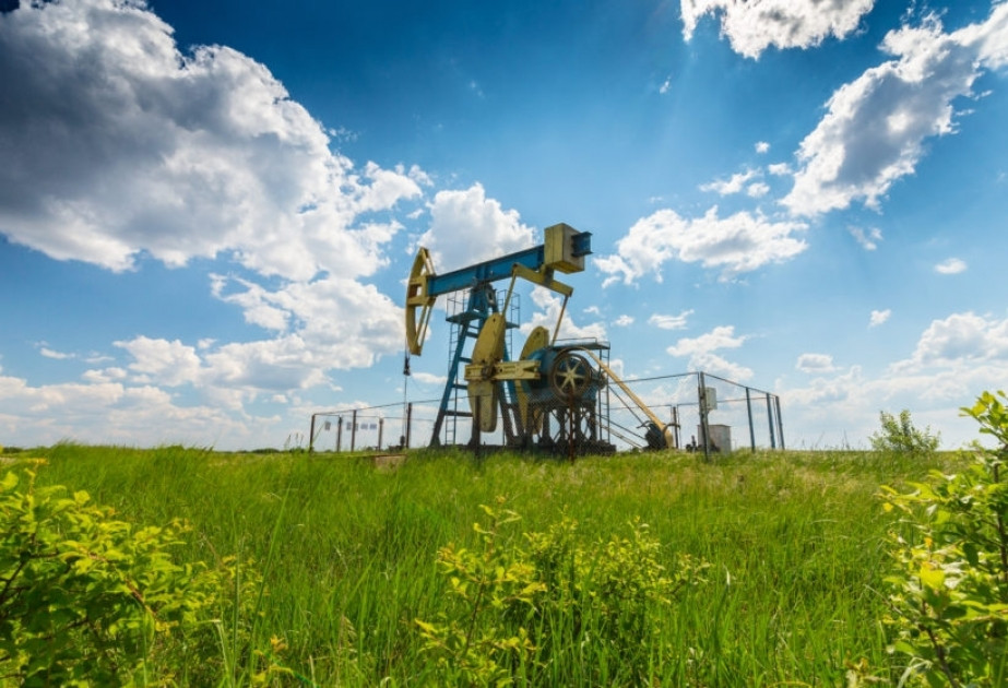 Azərbaycan enerji təhlükəsizliyinin etibarlı tərəfdaşıdır