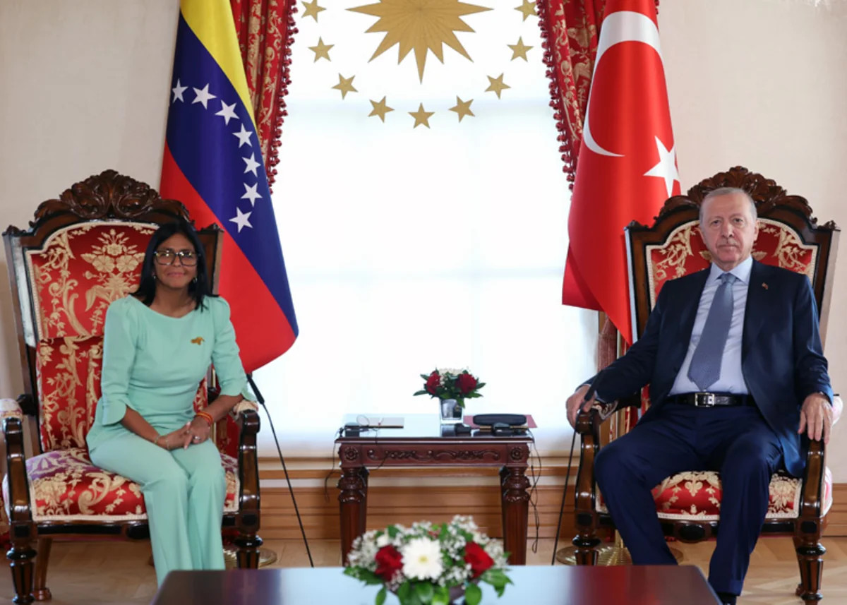 Ərdoğan Venesuelanın müvəqqəti Prezidentini qəbul edib