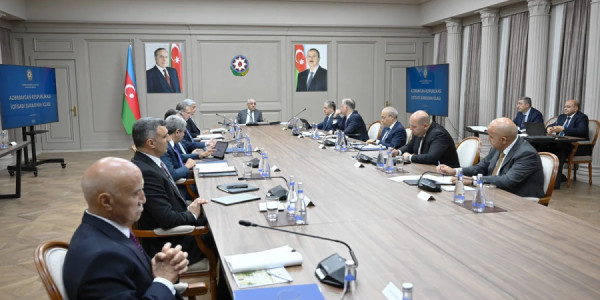 İqtisadi Şurada Azad İqtisadi Zonasının fəaliyyəti müzakirə olunub