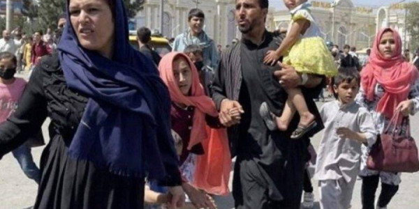 İranlılar  Afrikaya köçürülə bilər