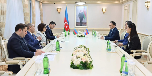 Sahibə Qafarova Kamboca Senatının sədr müavini ilə əməkdaşlığı müzakirə edib