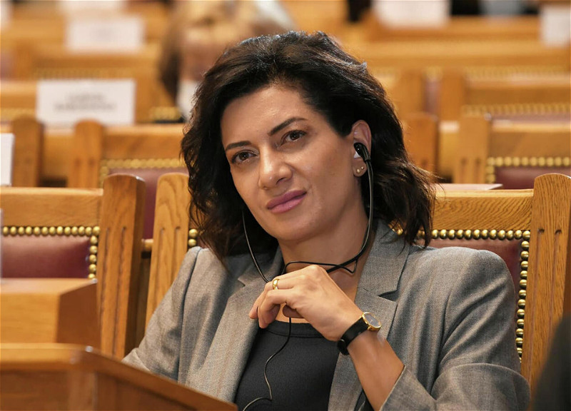 Anna Akopyan ABŞ-a forumda iştirak etmək üçün gedir