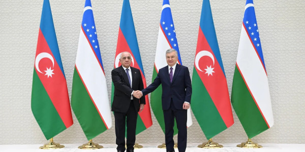 Əli Əsədov Özbəkistan Prezidenti ilə görüşüb