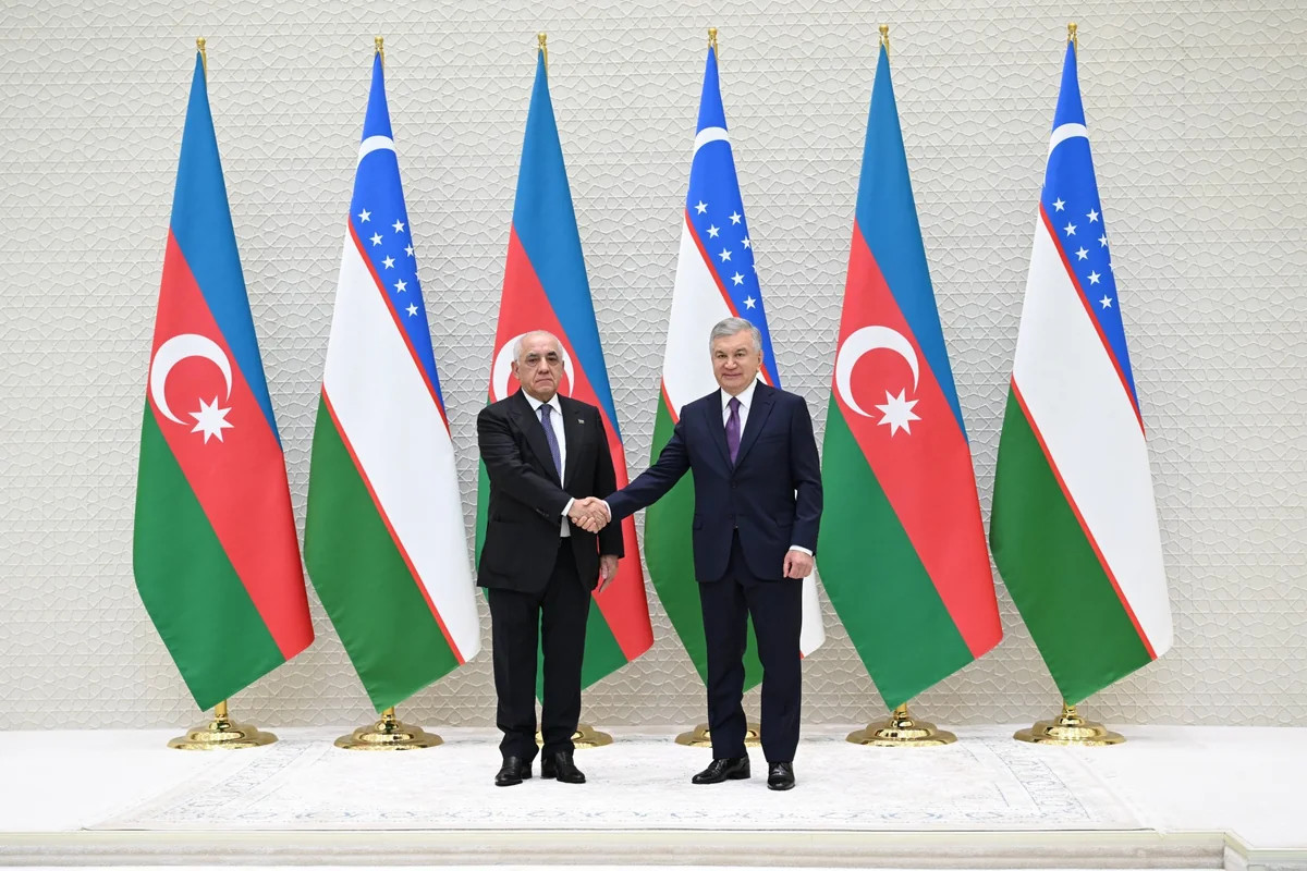 Əli Əsədov Özbəkistan Prezidenti ilə görüşüb