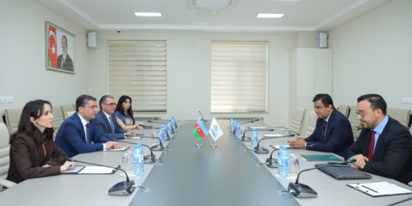 Dezinformasiyaya qarşı koordinasiyalı fəaliyyətin genişləndirilməsi vacibdir