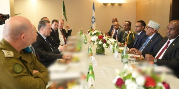 İsrael Katz Somaliland rəhbəri ilə görüşdə əməkdaşlığın genişləndirilməsindən danışıb