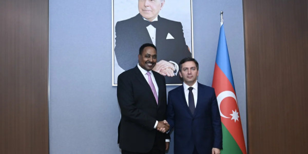 Azərbaycan ilə IGAD-yə üzv Afrika dövlətləri arasında əməkdaşlıq müzakirə olunub