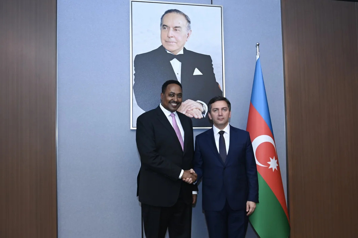 Azərbaycan ilə IGAD-yə üzv Afrika dövlətləri arasında əməkdaşlıq müzakirə olunub