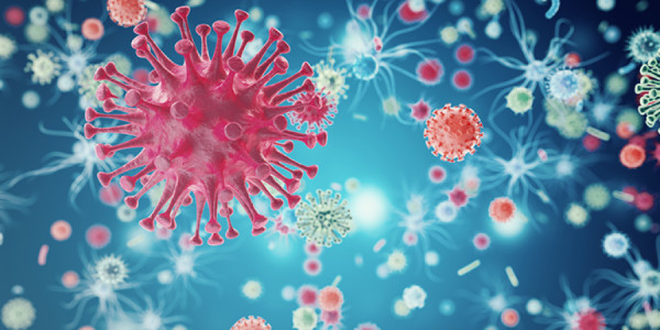 İsraildə Ebola həyəcanı:
