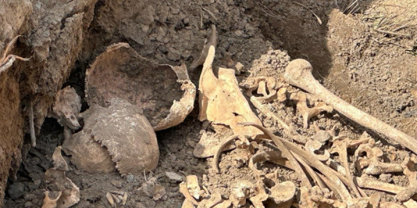 Ağdamda insan skeletinə bənzər qalıqlar aşkarlanıb