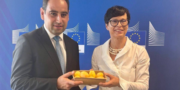 Ermənistan əriklərinin Avropa İttifaqına ilk simvolik partiyası çatdırılıb
