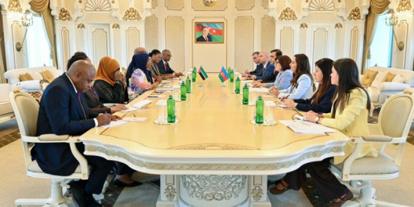 Sahibə Qafarova Mozambik Respublika Assambleyasının sədri ilə görüşüb