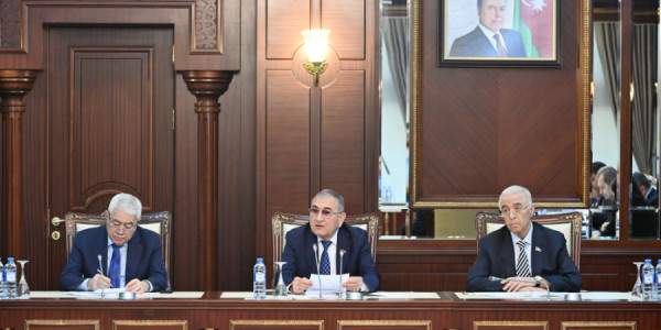 Kənd təsərrüfatında islahatları nəzərdə tutan qanun layihələri parlamentə tövsiyə edilib