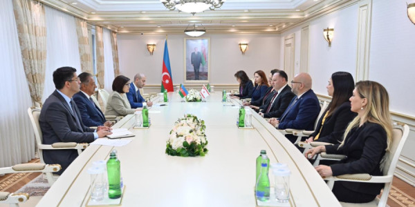 Sahibə Qafarova Şimali Kipr Məclisinin sədri ilə görüşüb