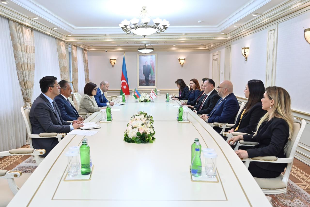 Sahibə Qafarova Şimali Kipr Məclisinin sədri ilə görüşüb