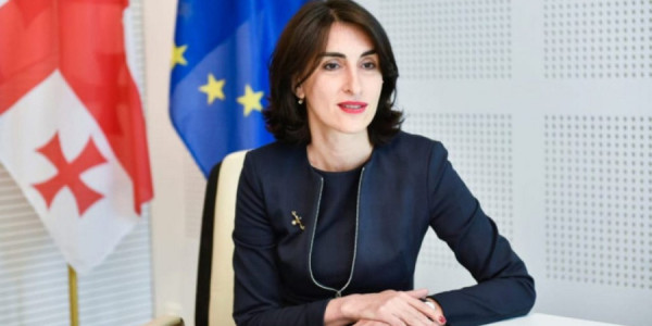 Gürcüstanın strateji seçimi Avropa İttifaqına inteqrasiyadır – XİN rəhbəri