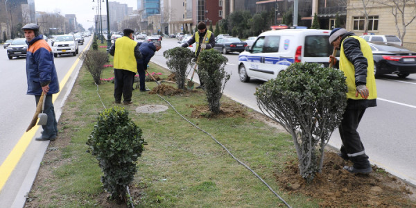 Bakıya ingilis qazonu yox, yovşan lazımdır -