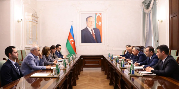 Kamran Əliyev İtkin düşmüş şəxslər üzrə Beynəlxalq Komissiyanın baş direktoru ilə görüşüb